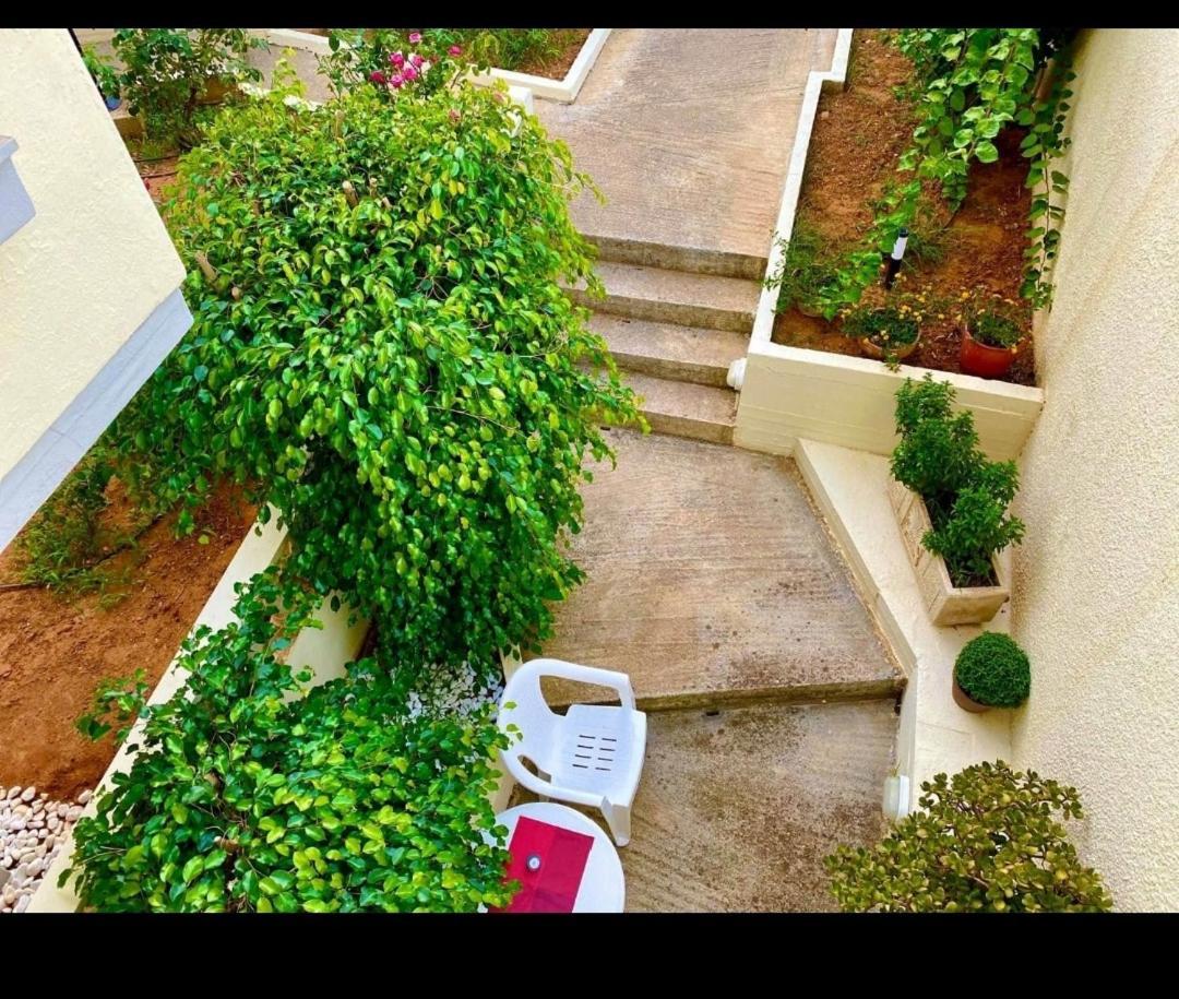Hotel Alexandra Kalamaki (Chania)